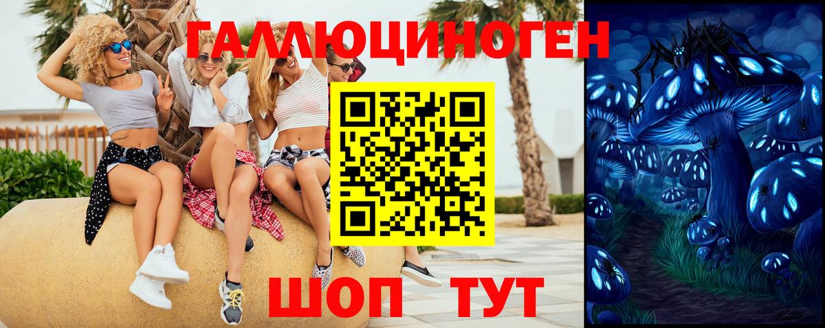 Псилоцибиновые грибы Дальнегорск