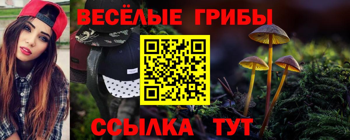 Псилоцибиновые грибы Magic Shrooms Дальнегорск