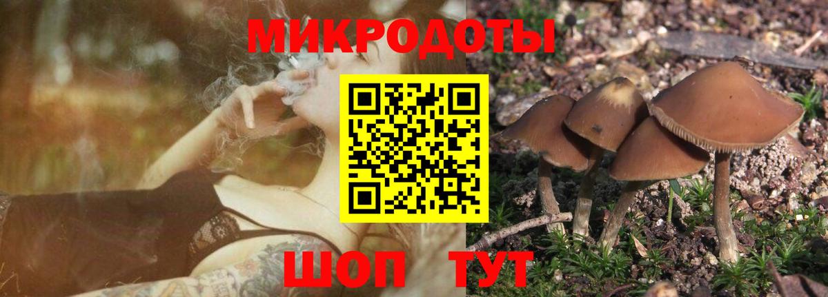 Дальнегорск  Галлюциногенные грибы MAGIC MUSHROOMS  Вход с VPN 